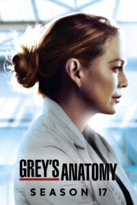 Chirurdzy: Season 17
