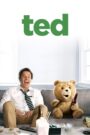 Ted CDA PL