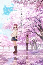 Oglądaj film Kimi no Suizou wo Tabetai PL