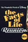 Oglądaj film The Facts of Life Reunion PL