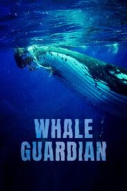 Oglądaj film Whale Guardian PL