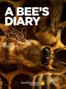 Oglądaj film A Bee’s Diary PL