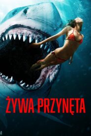 Żywa przynęta Oglądaj za darmo PL