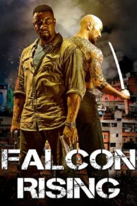 Falcon Rising vizjer PL