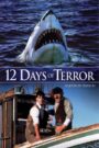 Oglądaj film 12 Days Of Terror PL