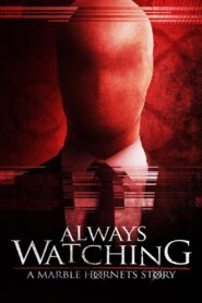 Always Watching: A Marble Hornets Story Oglądaj za darmo PL