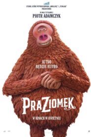 Praziomek CDA PL