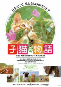 子猫物語 vizjer PL