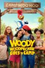 Oglądaj film Dzięciołek Woody jedzie na obóz PL