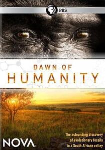 Oglądaj film Dawn of Humanity PL