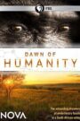 Oglądaj film Dawn of Humanity PL