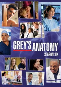 Chirurdzy: Season 6