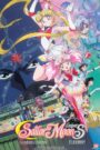 Sailor Moon Super S – Czarodziejka z Księżyca: Film kinowy Oglądaj za darmo PL