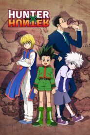 Hunter x Hunter online PL