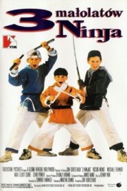 Oglądaj film Trzech małolatów ninja PL