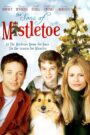 Oglądaj film The Sons of Mistletoe PL