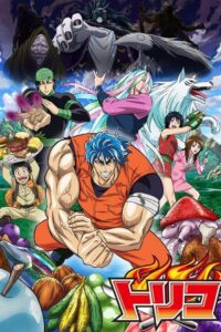 Toriko online PL