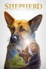 Shepherd: The Story of a Jewish Dog Oglądaj za darmo PL