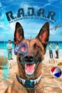 R.A.D.A.R.: The Adventures of the Bionic Dog Oglądaj za darmo PL