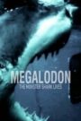 Oglądaj film Megalodon: The Monster Shark Lives PL