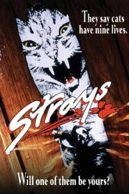 Oglądaj film Strays PL