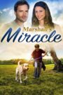 Oglądaj film Marshall’s Miracle PL