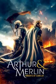 Arthur & Merlin: Knights of Camelot CDA PL