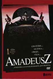 Amadeusz lektor PL