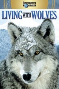 Oglądaj film Living with Wolves PL