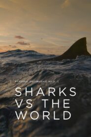 Oglądaj film Sharks vs. the World PL