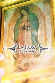 La rosa de Guadalupe online PL