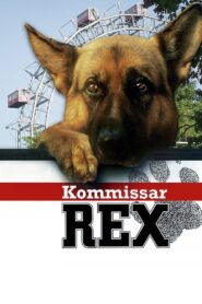 Komisarz Rex online PL