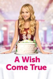 Oglądaj film A Wish Come True PL