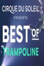 Oglądaj film Cirque du soleil: Best of Trampoline PL