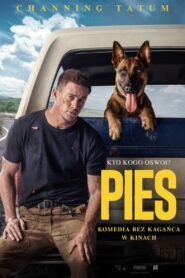 Oglądaj film Pies PL