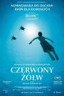 Czerwony żółw Oglądaj za darmo PL