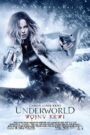 Underworld: Wojny Krwi CDA PL