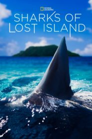 Oglądaj film Sharks of Lost Island PL