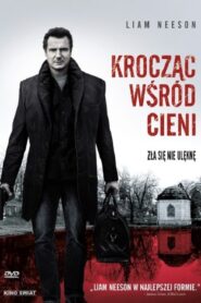 Krocząc Wśród Cieni vizjer PL