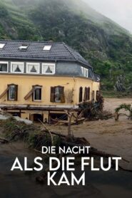 Oglądaj film Die Nacht, als die Flut kam – Protokoll einer Klimakatastrophe PL