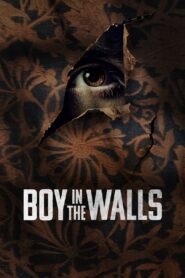 Oglądaj film Boy in the Walls PL