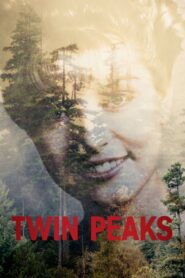 Miasteczko Twin Peaks online PL