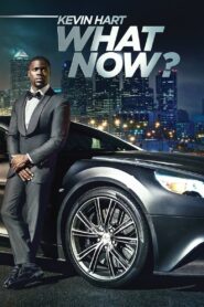 Oglądaj film Kevin Hart: What Now? PL