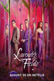 Lavender Fields online PL