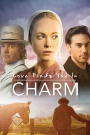 Oglądaj film Love Finds You in Charm PL