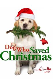 Oglądaj film The Dog Who Saved Christmas PL