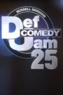 Oglądaj film Def Comedy Jam 25 PL