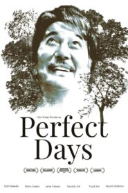 PERFECT DAYS CDA PL