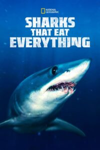 Oglądaj film Sharks That Eat Everything PL