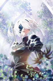 NieR:Automata Ver1.1a online PL